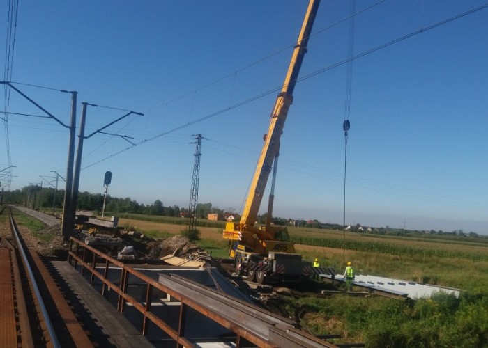 linia-151-wykonawstwo